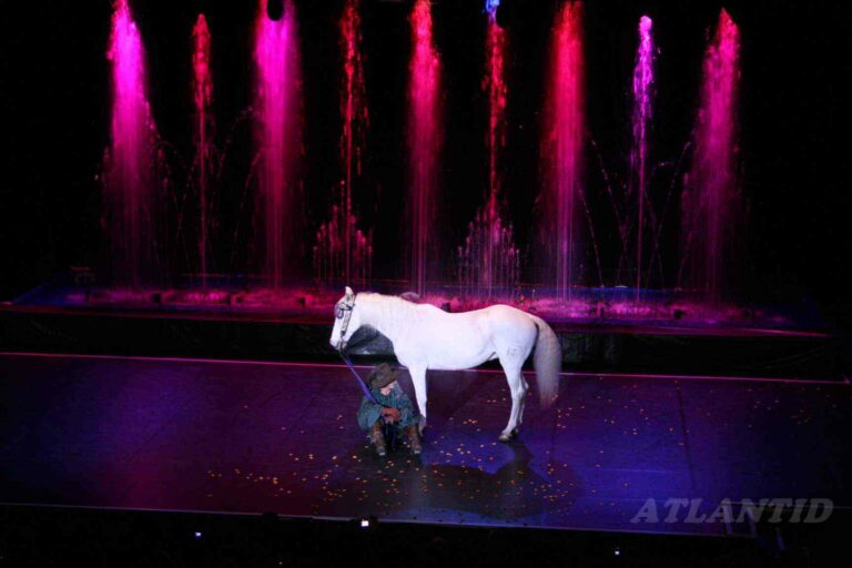 Fontaines intérieur lors d'un spectacle - Atlantid Fabrick